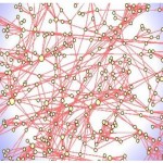 Why Physics is Crucial for Understanding Global Business: the Network of Corporations