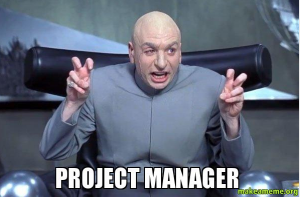 "Project manager"