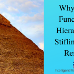 Why Your Functional Hierarchy Is Stifling Your Results