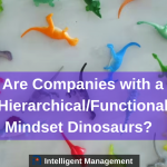 Are Companies with a Hierarchical/Functional Mindset Dinosaurs? A Systemic Approach Part 14