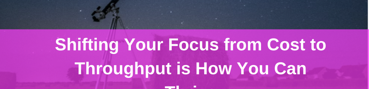 Shifting Your Focus from Cost to Throughput is How You Can Thrive – a Systemic Approach Part 15