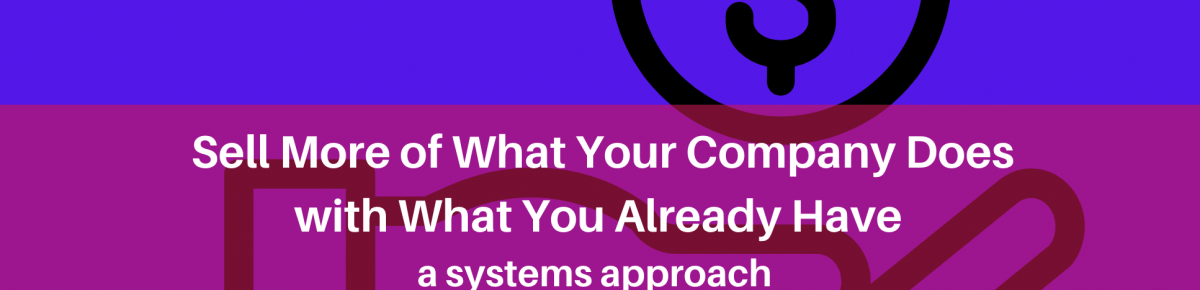 Sell More of What Your Company Does with the Resources You Already Have (External Constraint) – A Systemic Approach Part 16